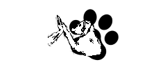 Kundenlogo von DeinPetCoach