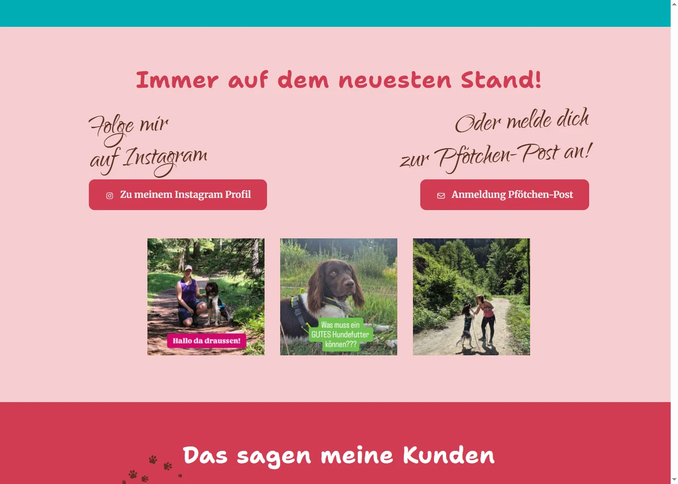 Screenshot von Unterseite von Mein Pet Coach