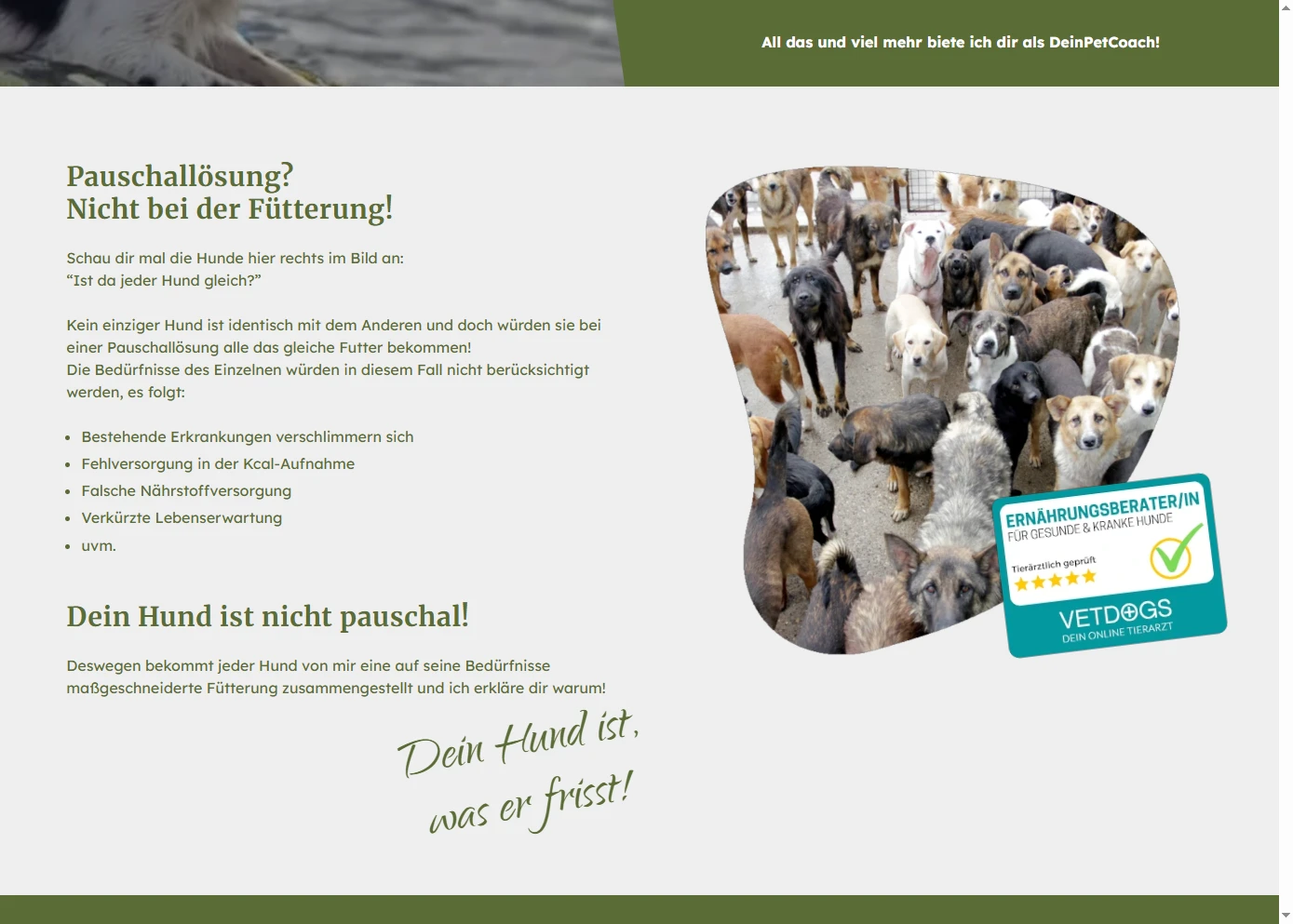 Screenshot von Website Dein Pet Coach