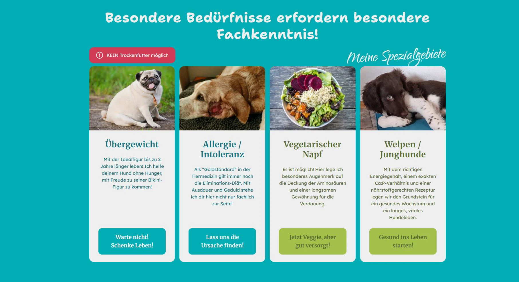 Screenshot von Angebotsseite von Mein Pet Coach